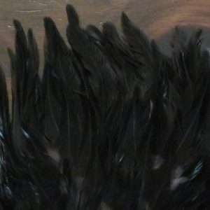 Indian Saddle Skin